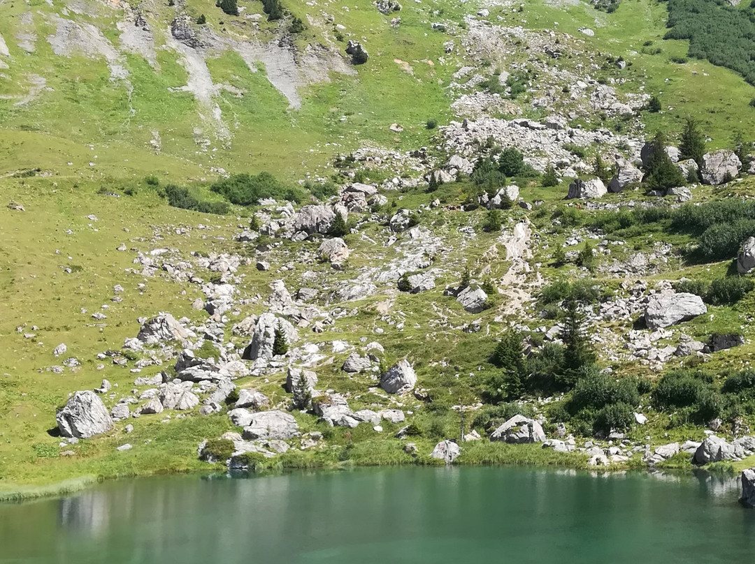 Village de Vacances VTF le Rafour主图