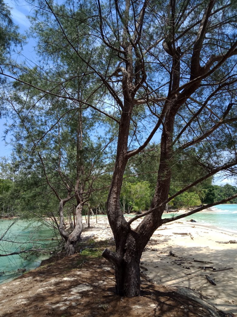 哥打京那巴鲁海岛度假村-官方