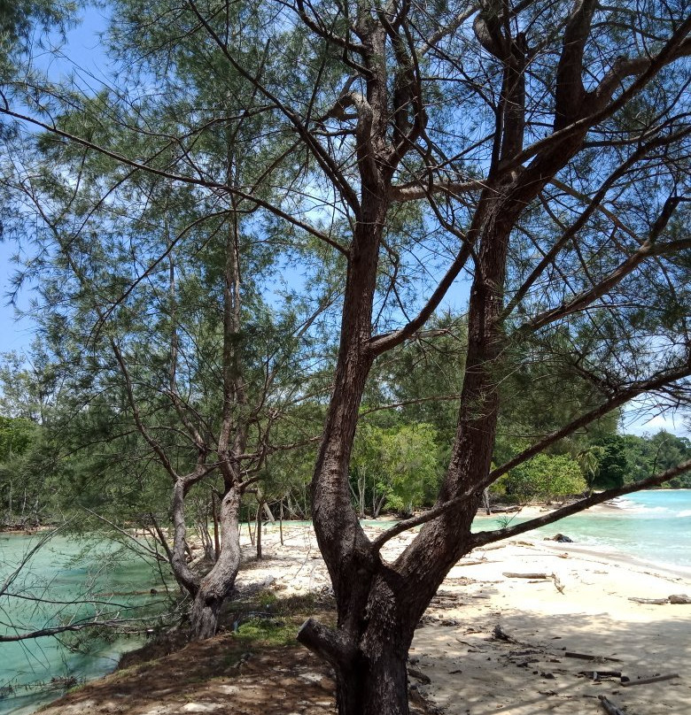 哥打京那巴鲁海岛度假村主图