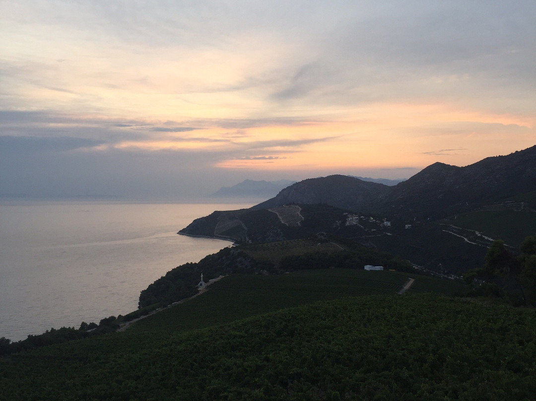 Terra Madre Winery景点图片