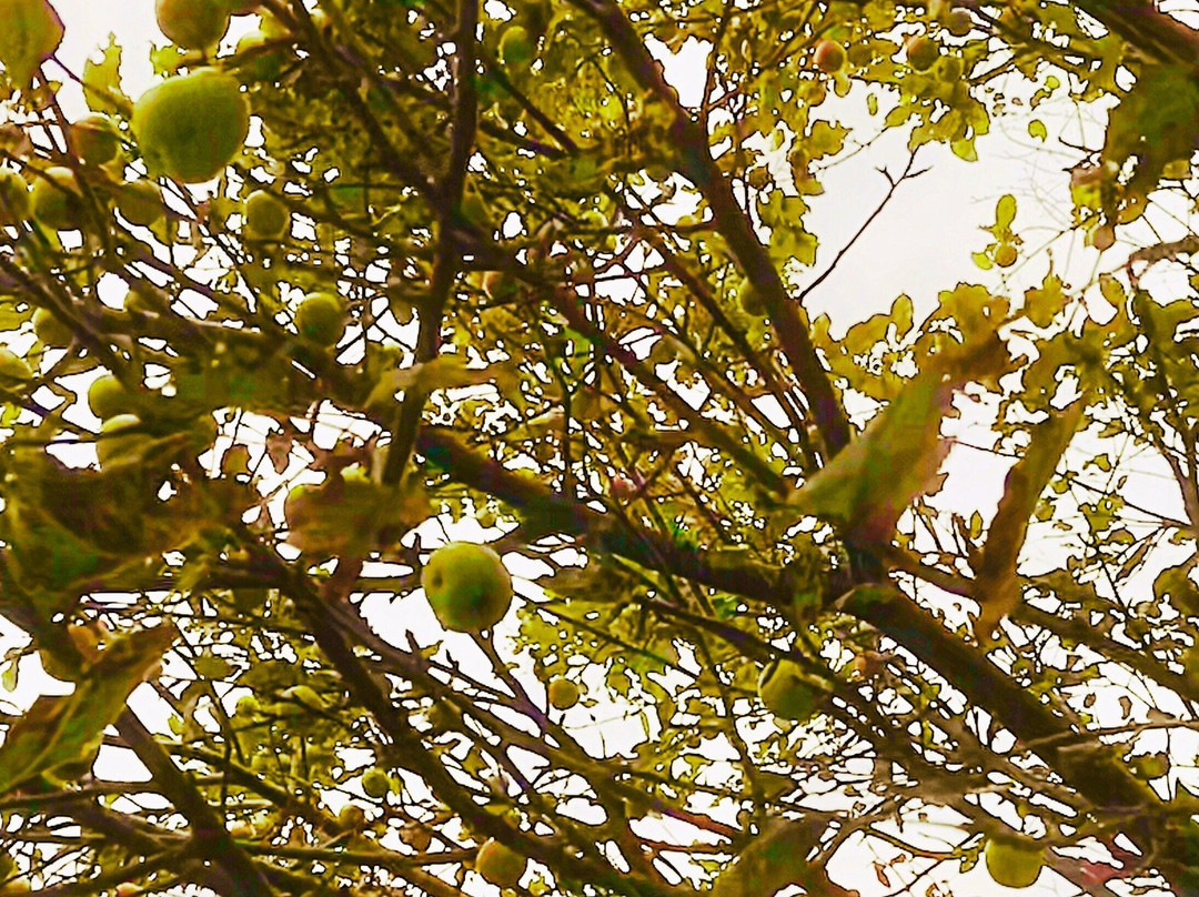 Black River Trail-Black River必去景点