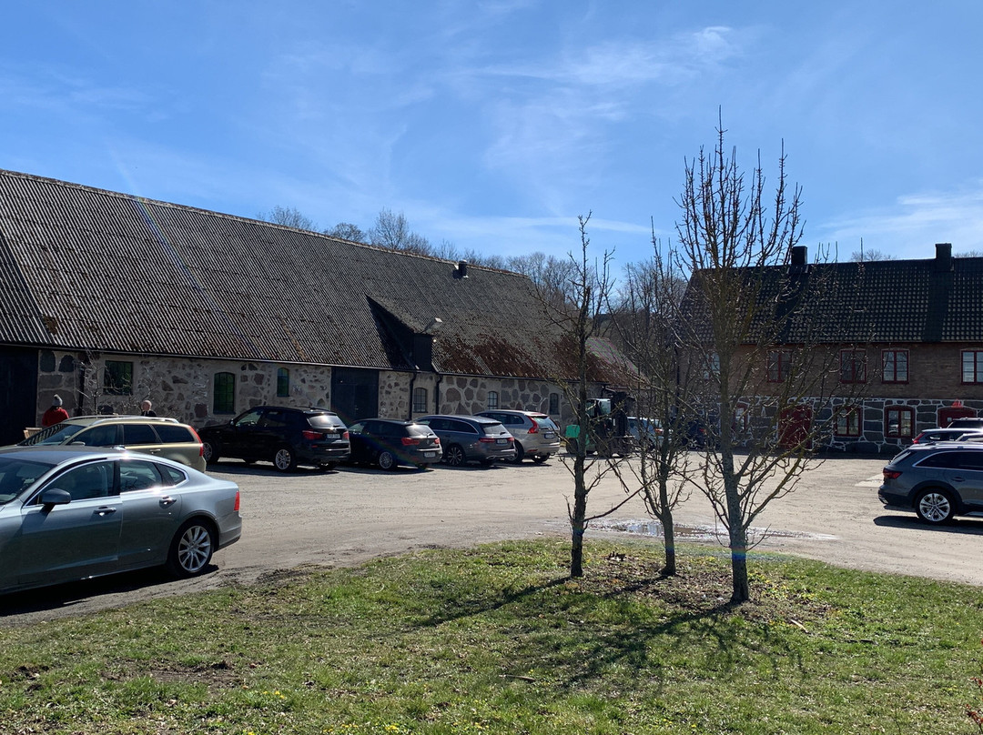Kivikås