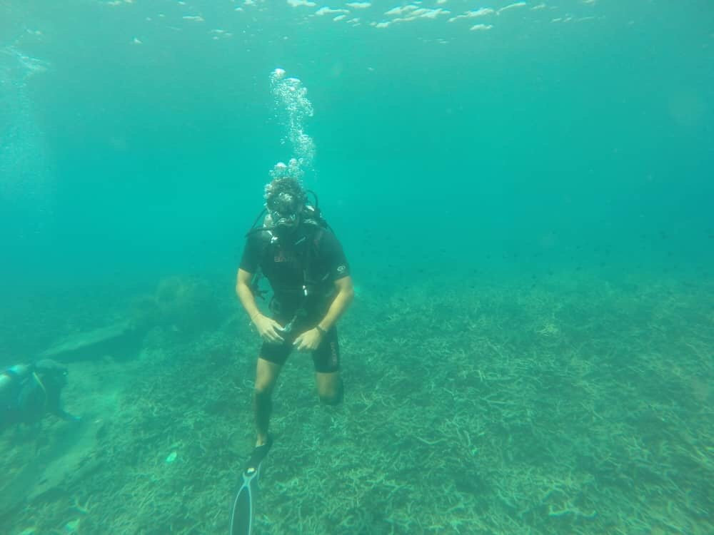 Aquarius Redang Dive Centre-热浪岛必去景点