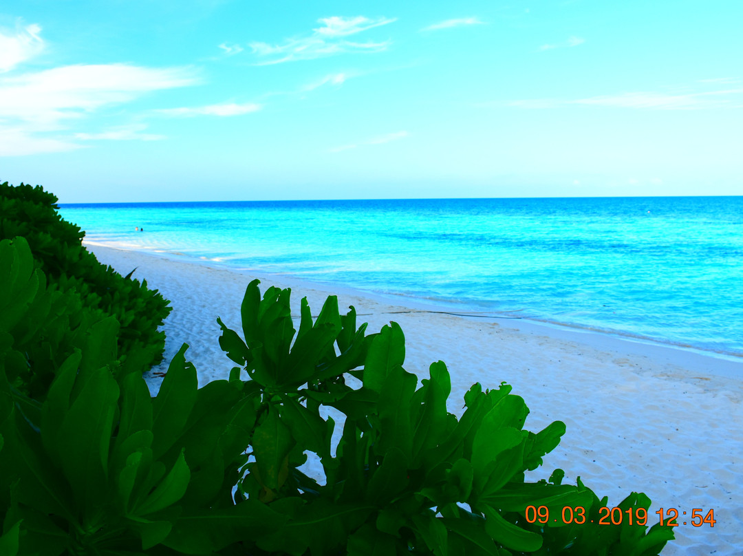 Huvadhu Atoll-南苏瓦迪瓦环礁必去景点