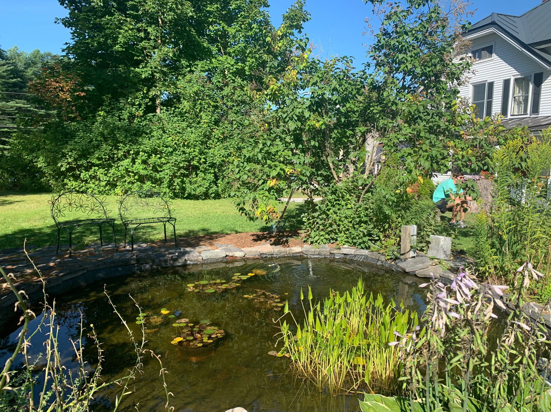 Golden Stage Inn主图