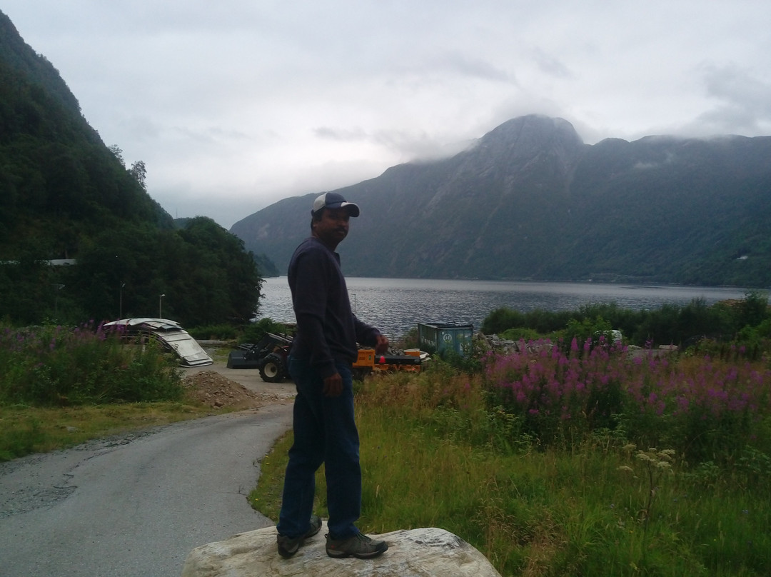 Stryn Municipality旅游攻略图片