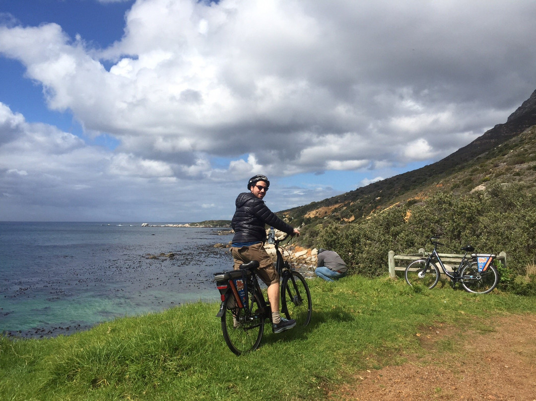 Daytrippers-开普敦中心区必去景点