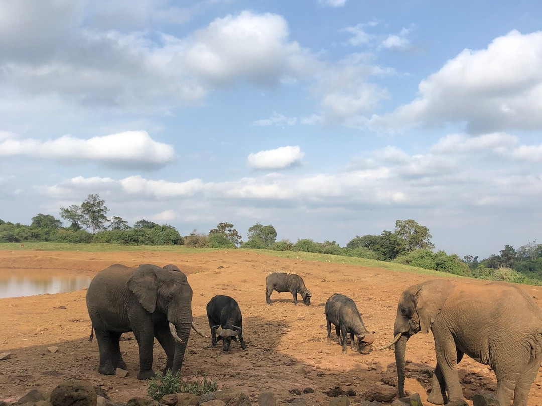 方舟山林小屋主图