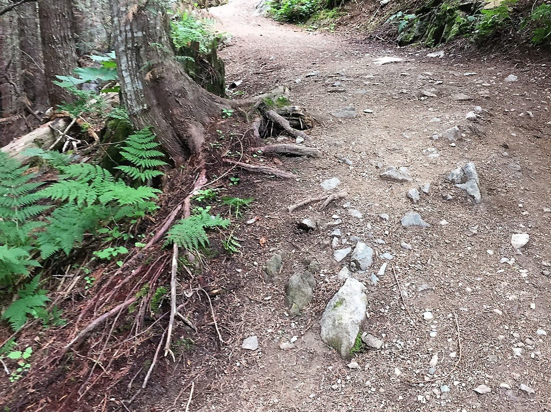 Cheakamus River-惠斯勒必去景点