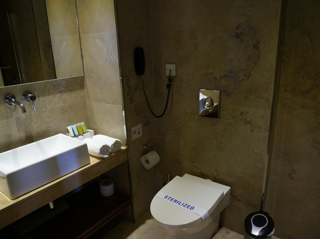 克娄帕特拉酒店主图