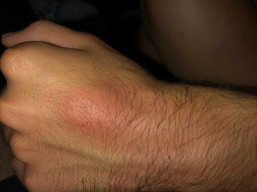 Paintball Taranto-塔兰托必去景点