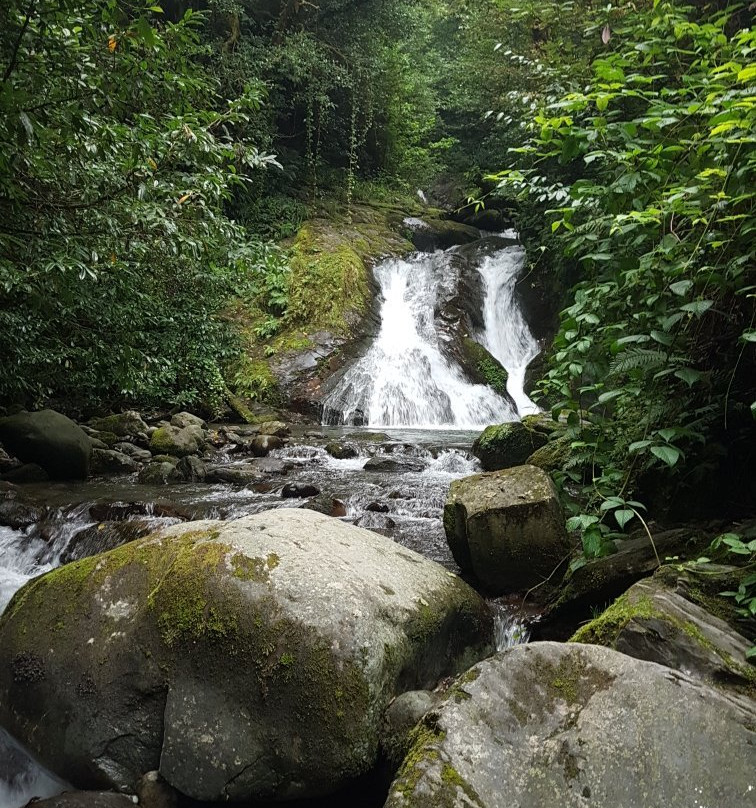 National Park Kintrishi-Kobuleti必去景点