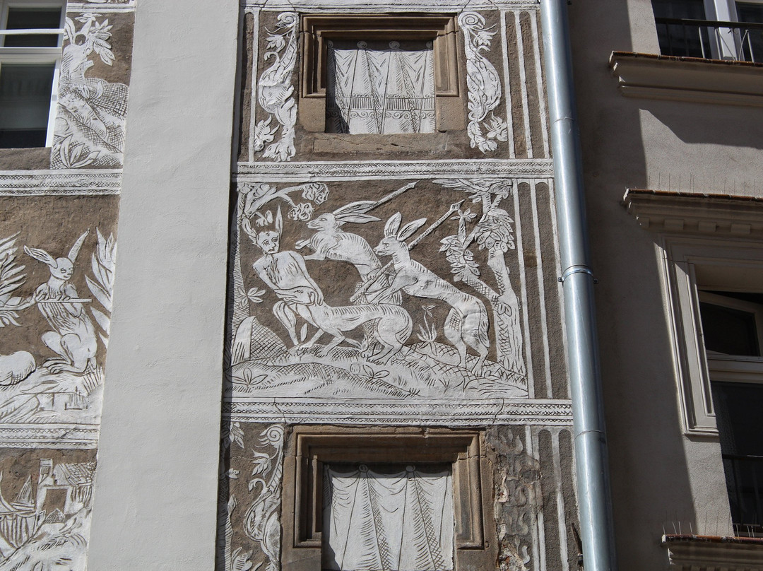 Pod Przepiorczym Koszem House景点图片