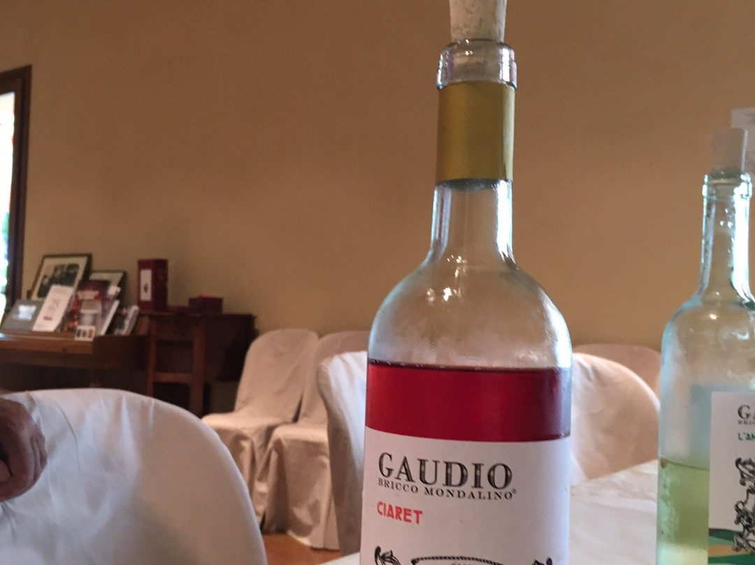 Gaudio Bricco Mondalino-Vignale Monferrato必去景点