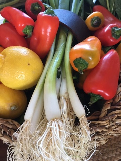 Bhavana Organic Farm + Cooking School景点图片
