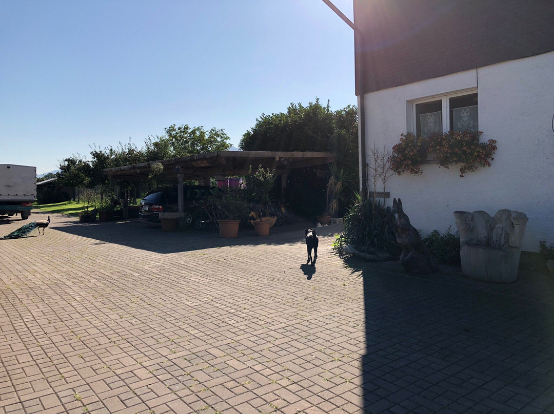 Steigmatt Schlaf im Stroh