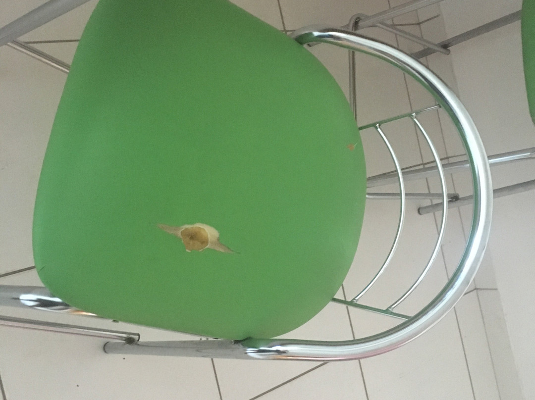 Golden Dolphin Grand Hotel主图