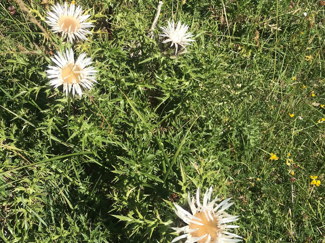 Agriturismo Il Cerro主图