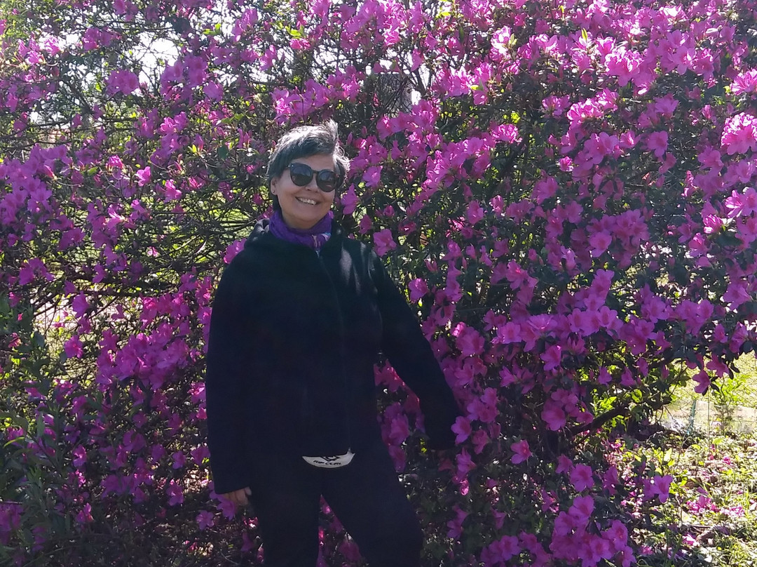 Hotel Cabañas del Parque主图