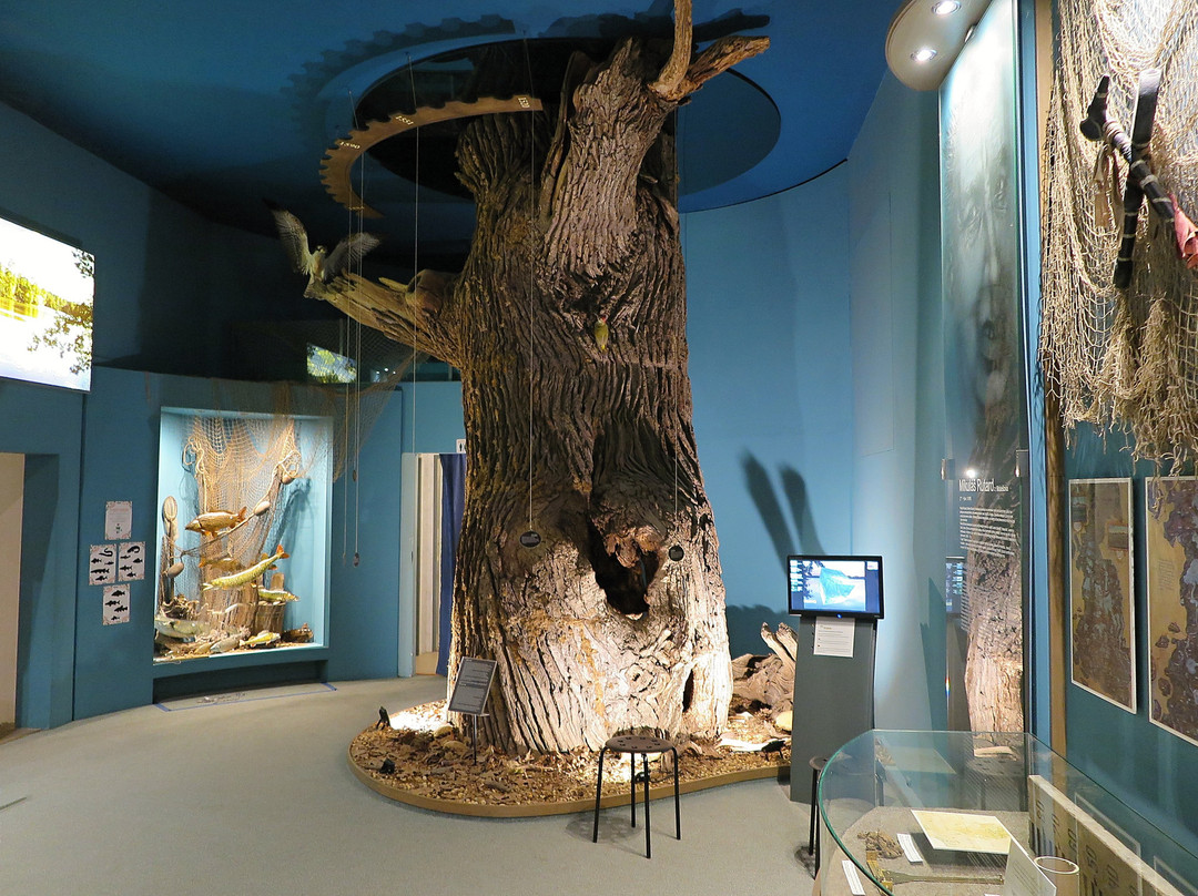 Trebon Exhibition House景点图片