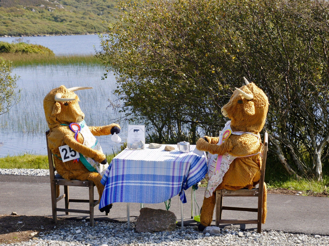 Mull Magic Wildlife - Day Tours-Tobermory必去景点