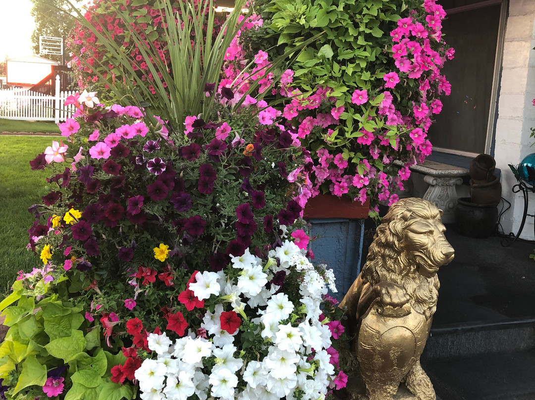 Holiday Lodge Motel主图