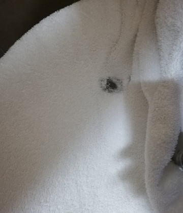 Agramon旅游攻略图片