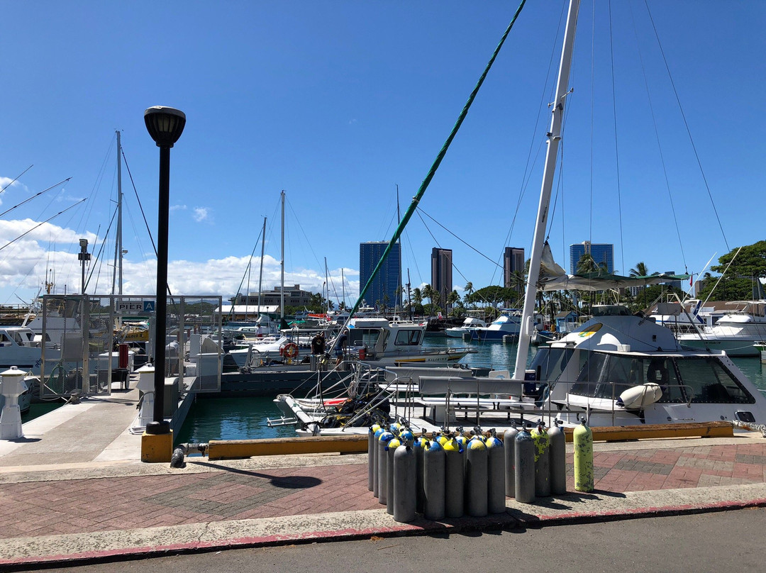 Hawaiian Diving Adventures-火奴鲁鲁必去景点