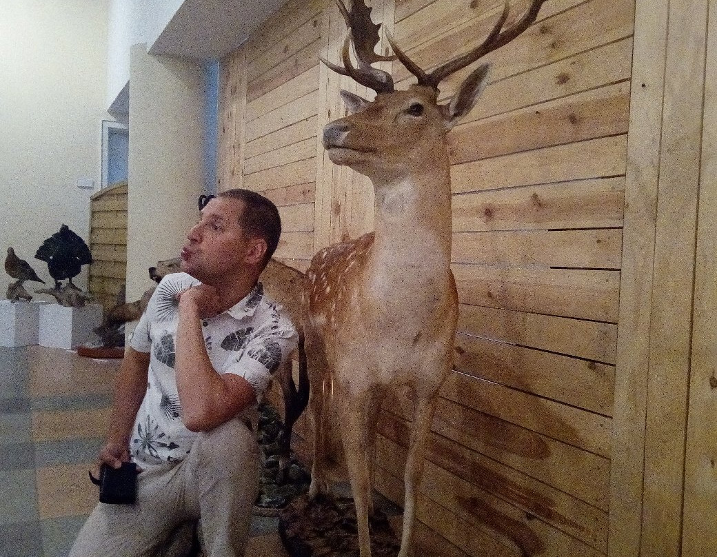 Forestry Museum景点图片