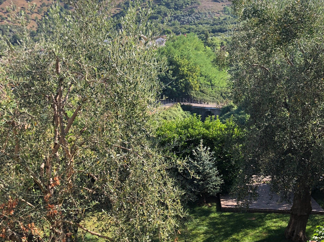 Il Casale della Stella主图