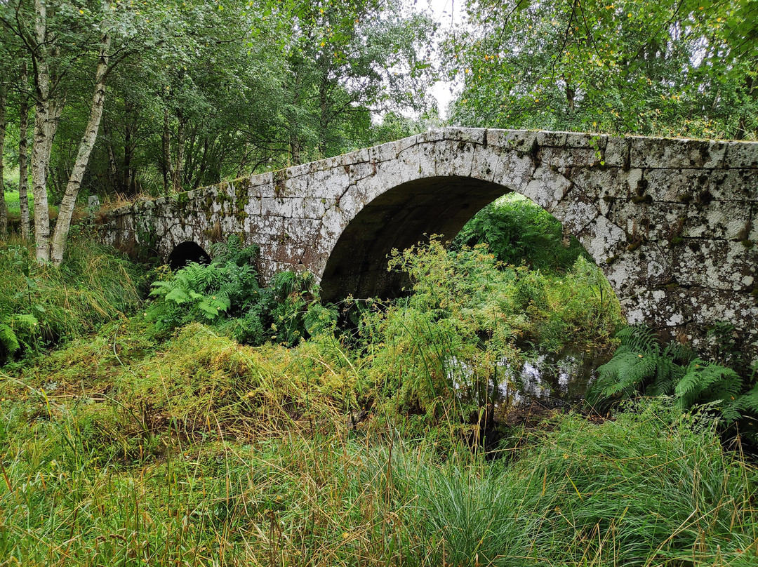 Puente de Vilariño Frío景点图片
