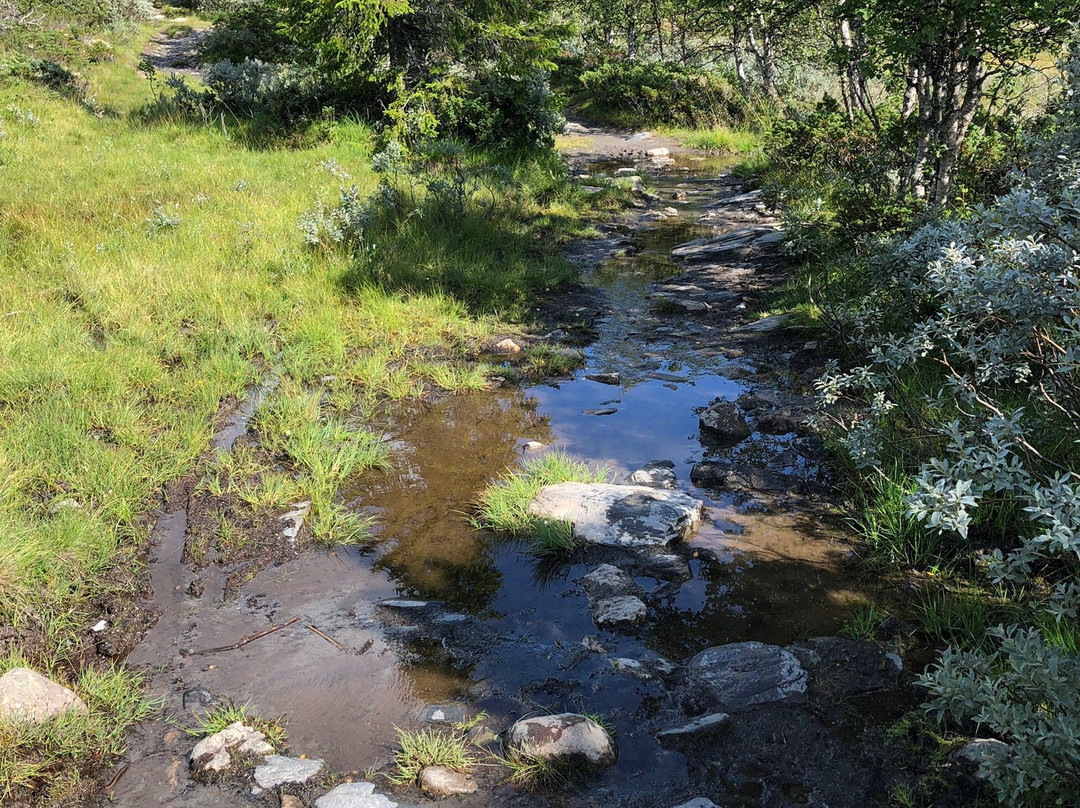 Valsfjellet景点图片