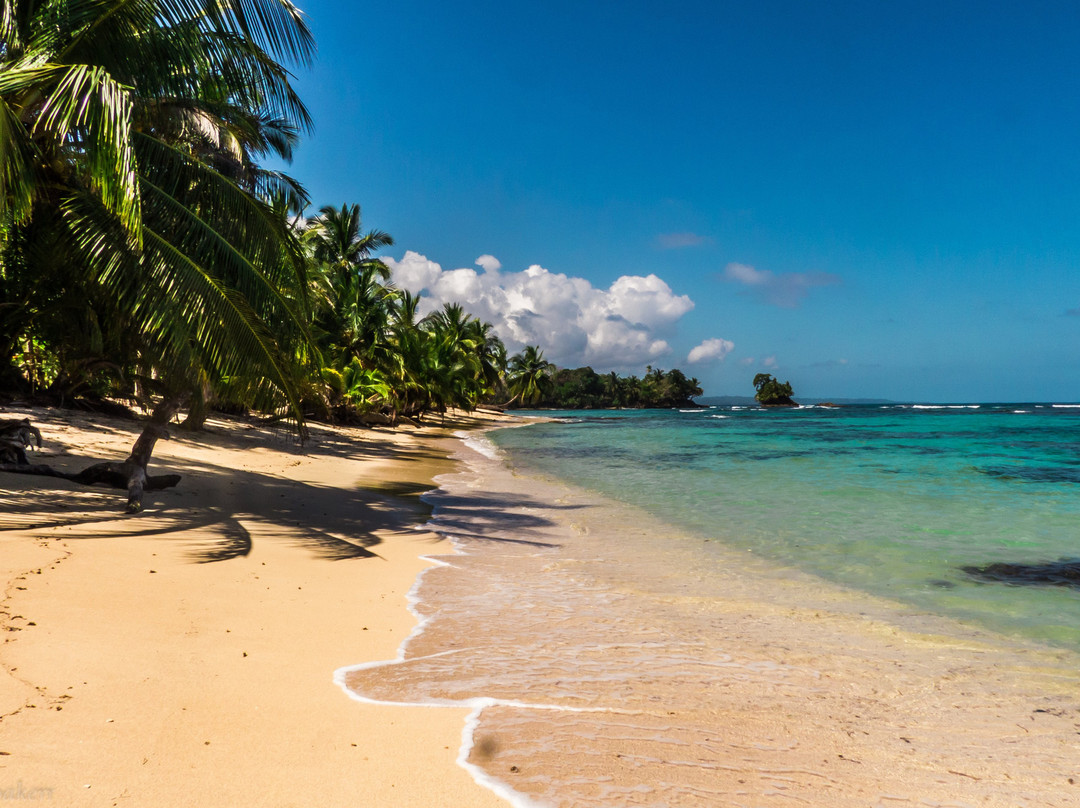 Sweet Caribe Adventures景点图片
