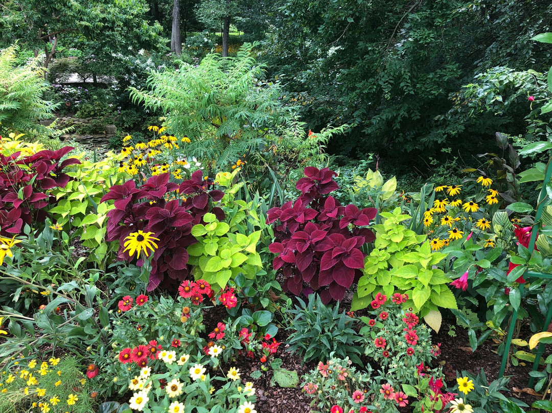 Overland Park Arboretum and Botanical Gardens景点图片