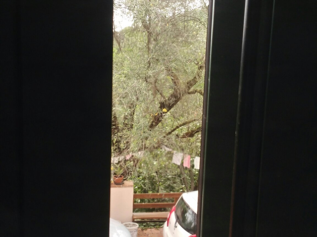 La Casa nel Bosco Vicenza | Bed and Breakfast主图
