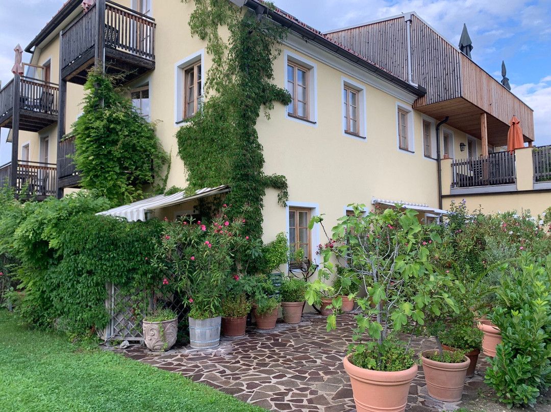 ad vineas Gastehaus Nikolaihof主图