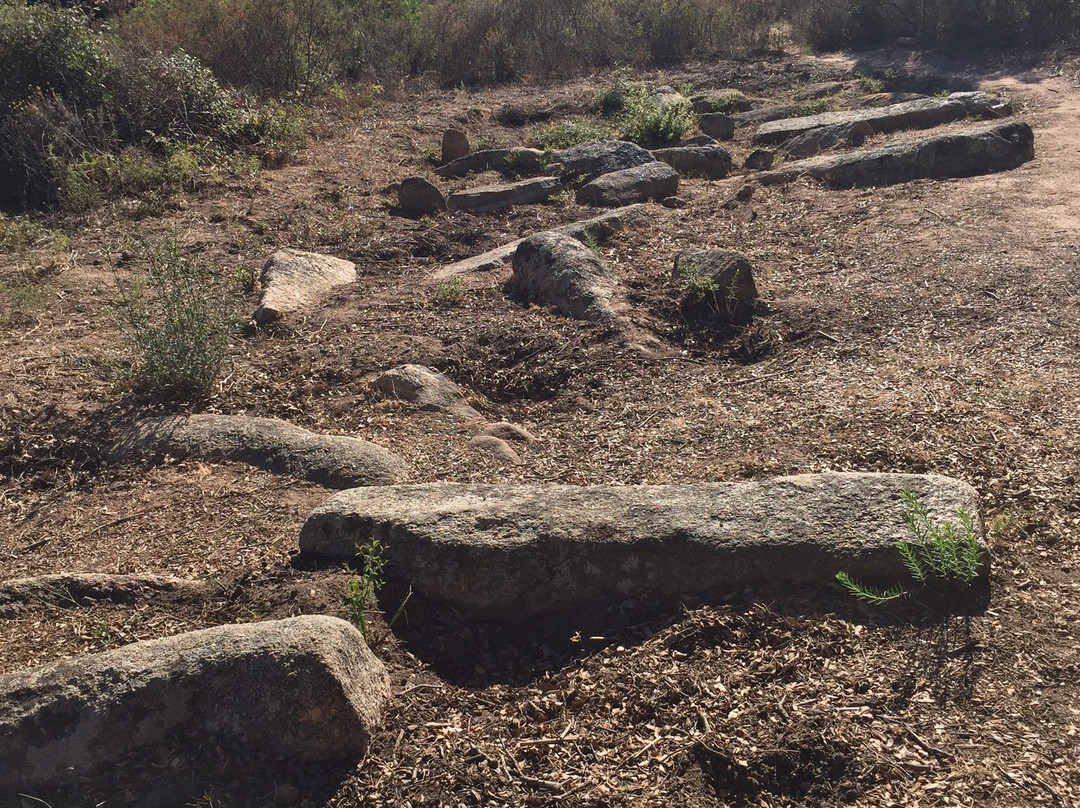 Menhirs Paddaghhu景点图片