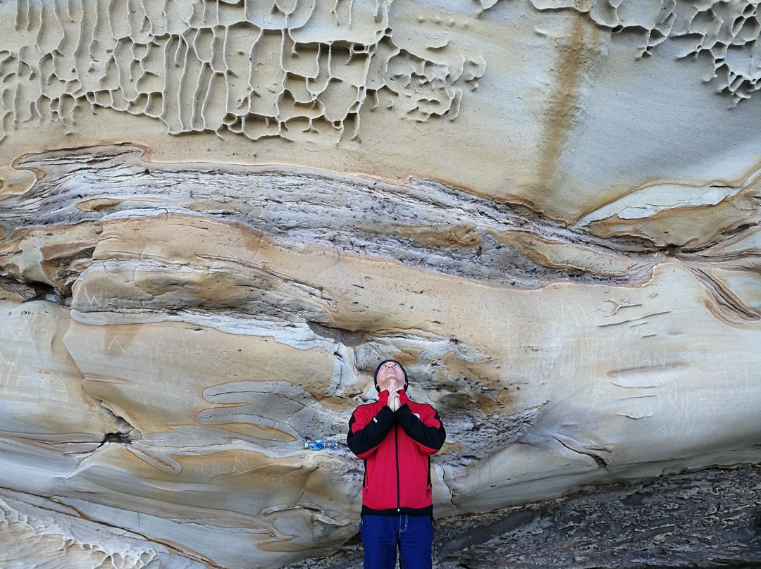Bare island-La Perouse必去景点