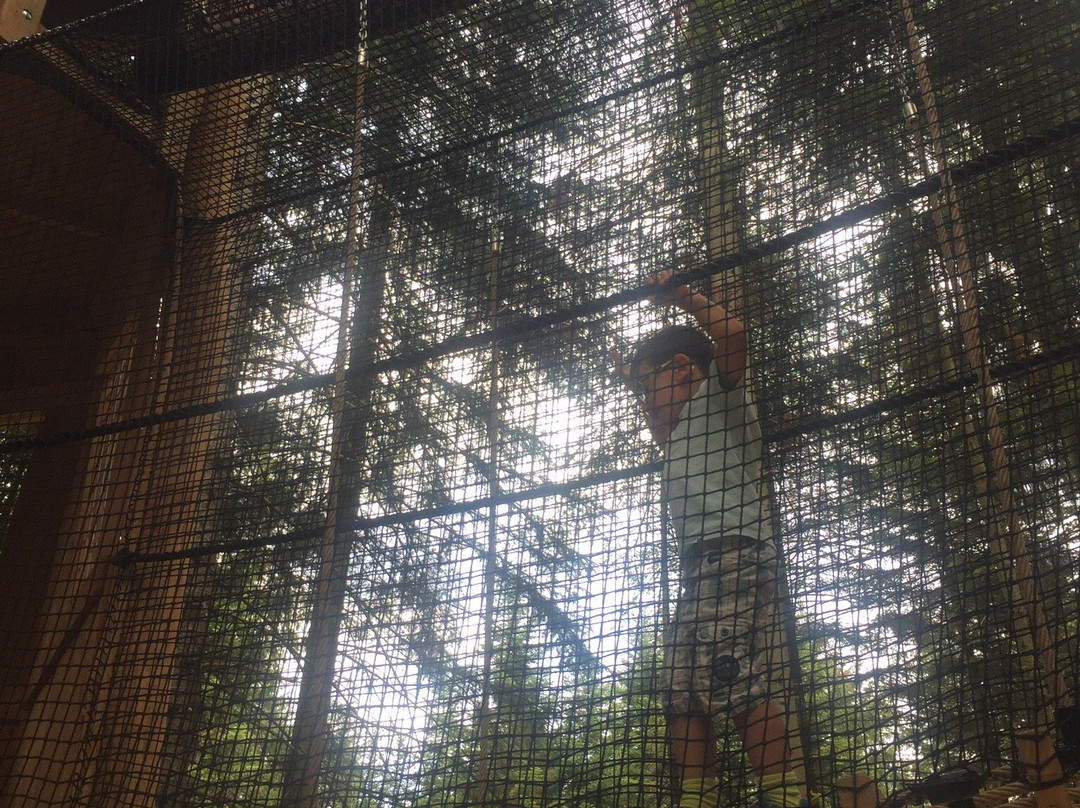 Abenteuerwald Sommerberg景点图片