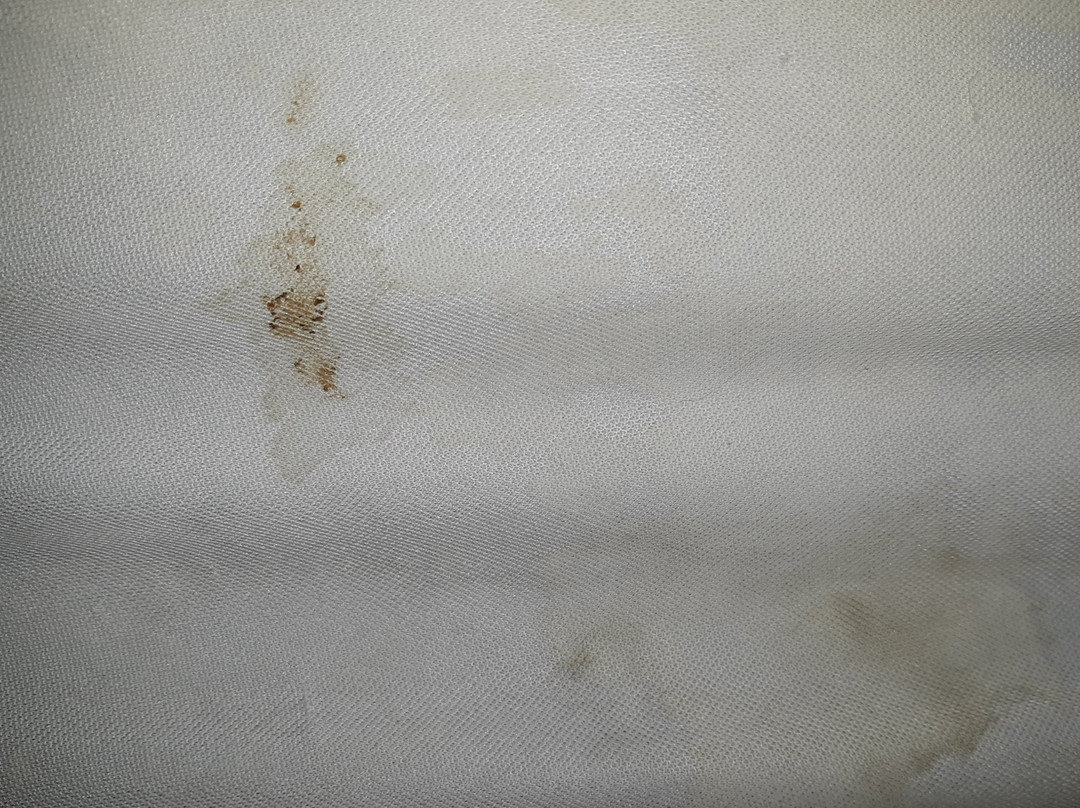 Cypress Tree Motel主图