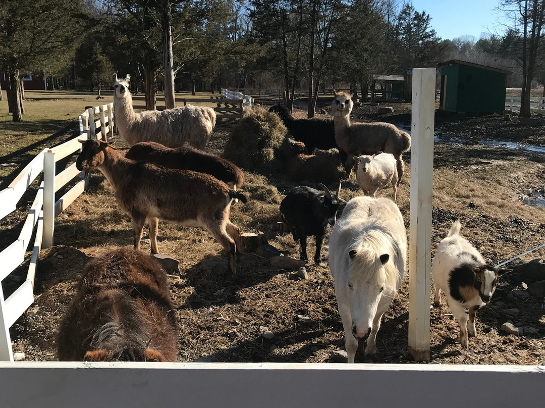 The Kaaterskill主图