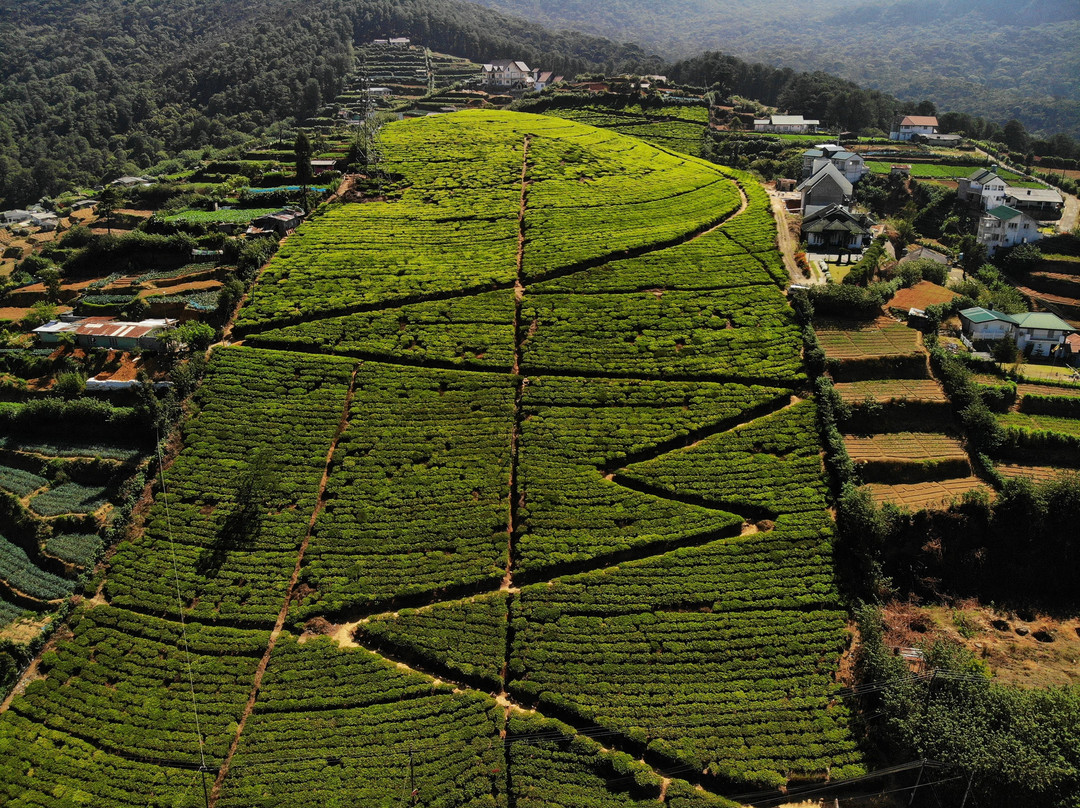 Top Terrace Cottage主图