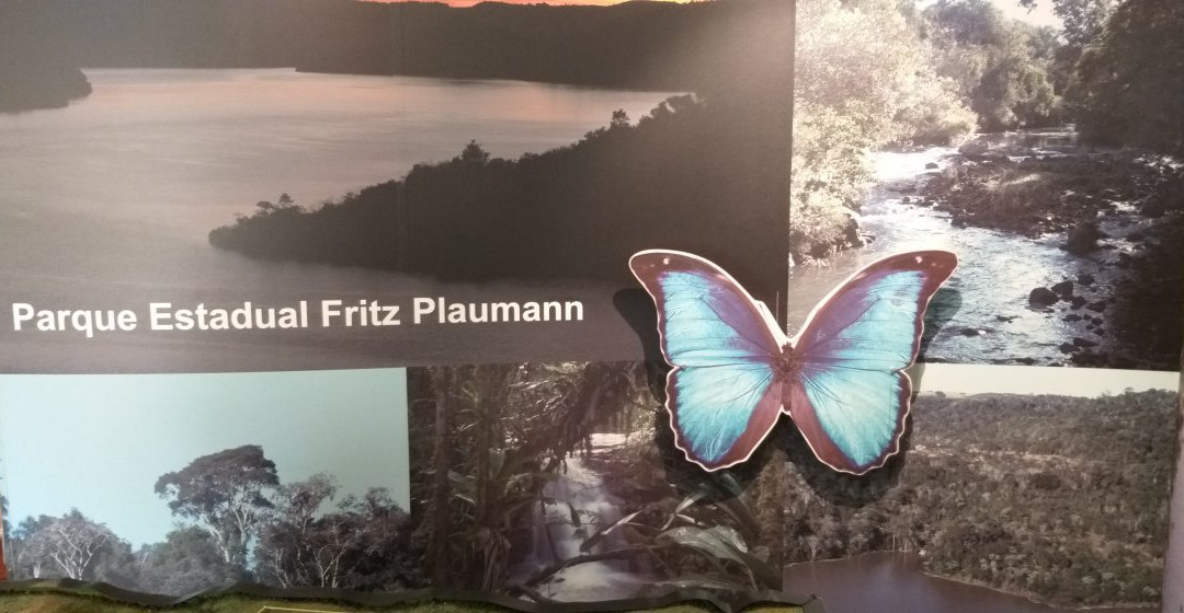 Fritz Plaumann State Park景点图片