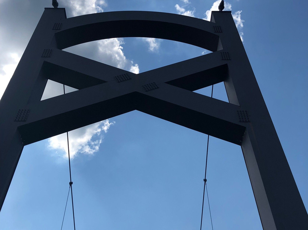 Bike the Greenway-纳什维尔必去景点