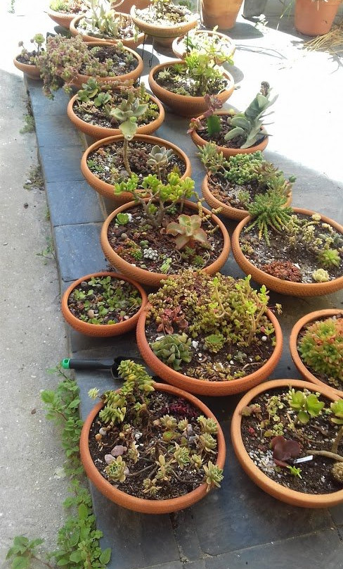 Alameda Guest House主图