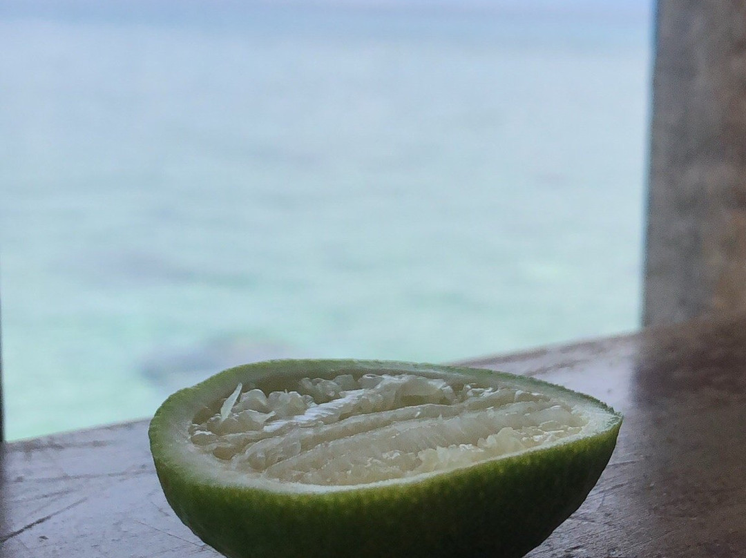 Dao Yen - Hon Noi-芽庄必去景点