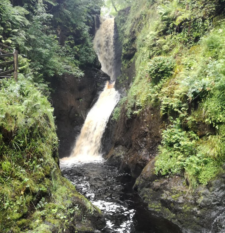 Glenariff Forest Park Caravan Park景点图片