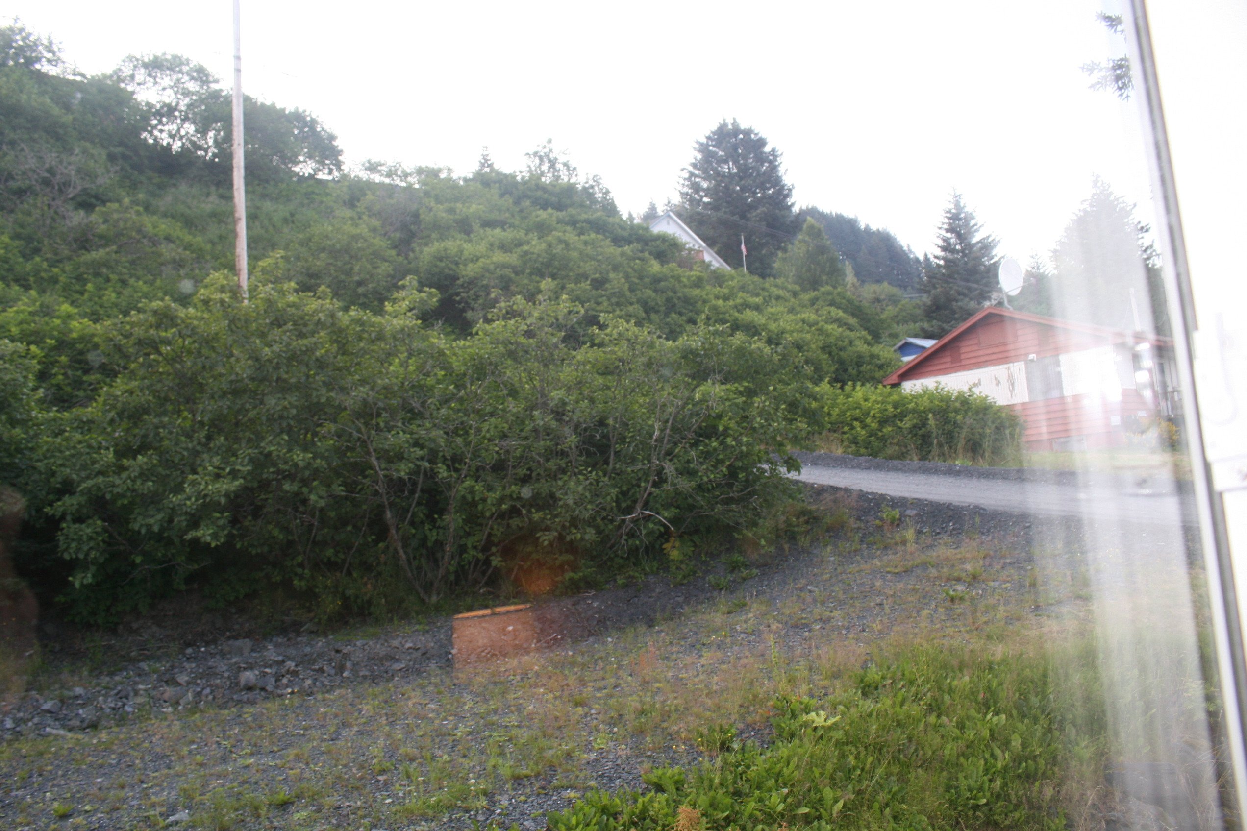 Shelikof Lodge-酒店景观