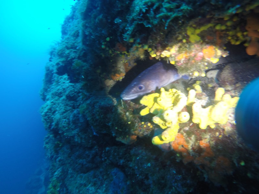 More Sub Makarska-玛卡沙必去景点