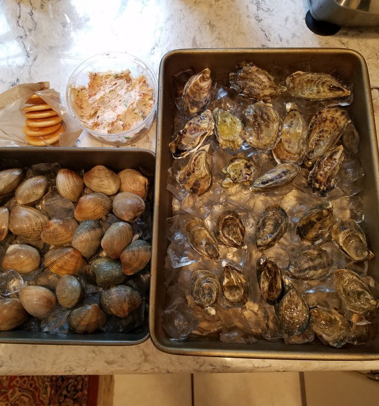 Nevør Shellfish Farm景点图片